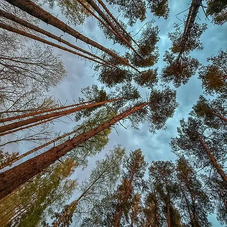 Maennituka Villa Kirikukula (Saaremaa)