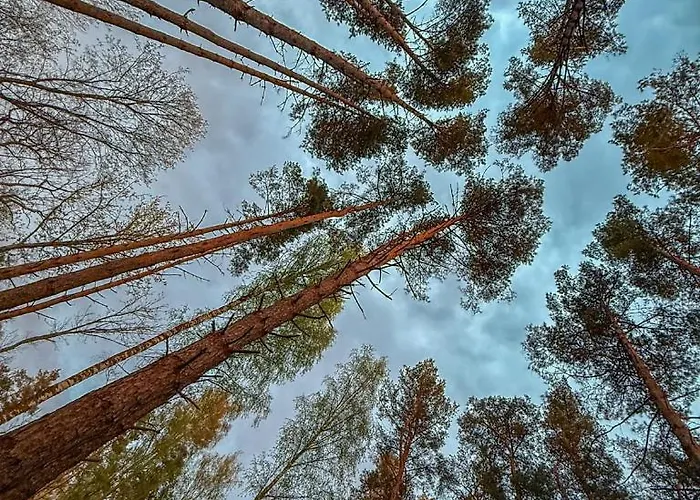 Maennituka Willa Kirikukula (Saaremaa)